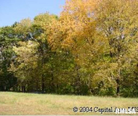 Vacant Land For Sale - 12 Deer Meadow Lane<br/> Menard County, Petersburg, IL 62675