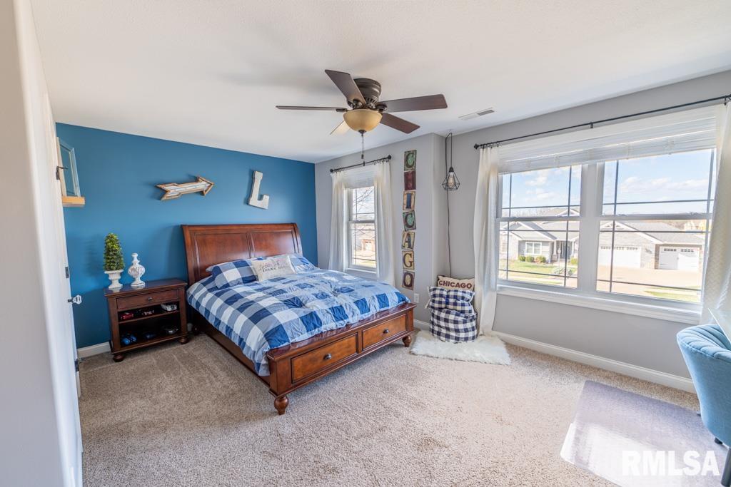 407 Whistling Strait, Washington, Illinois image 32