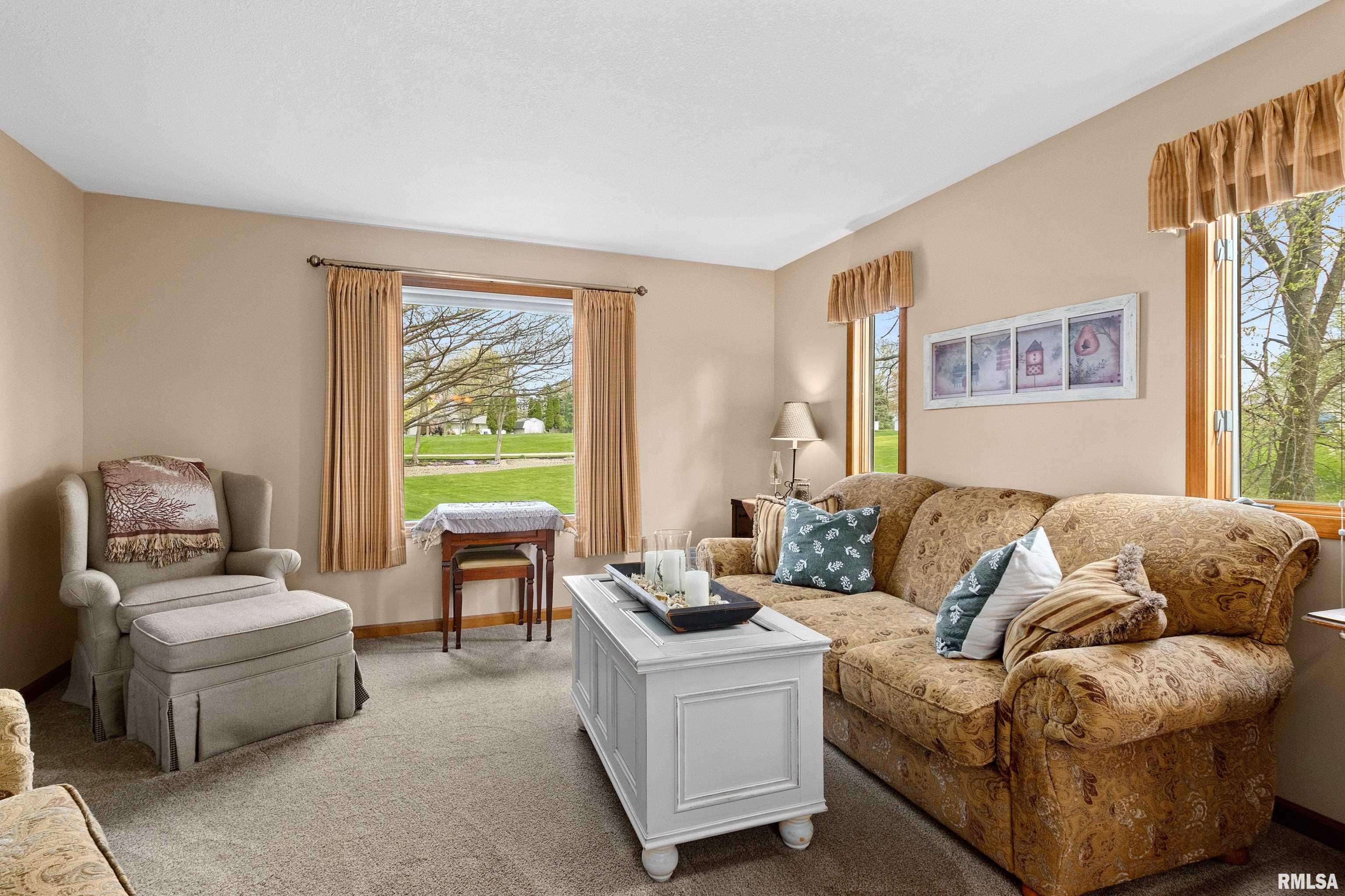 4423 S Newcastle Court, Mapleton, Illinois image 10