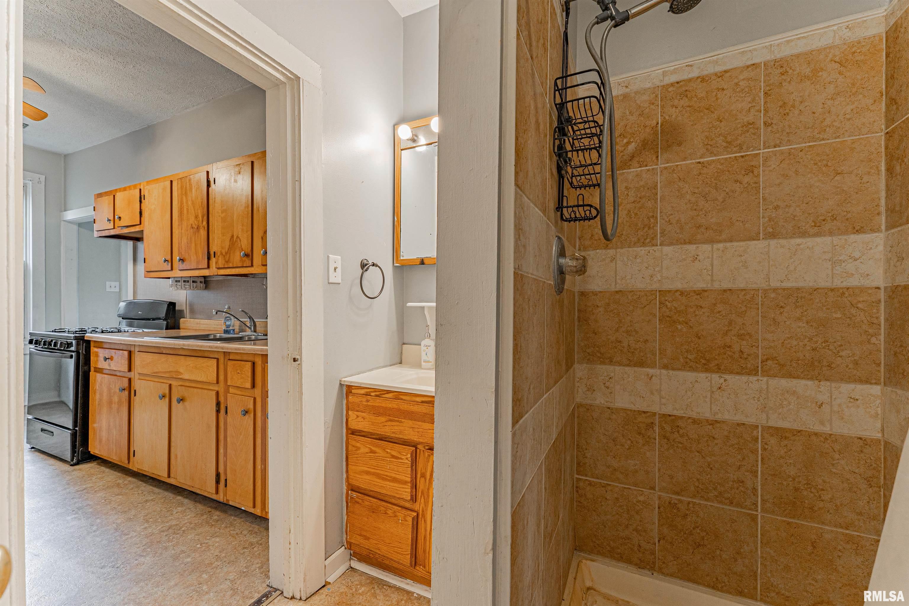 317 Latham Street, Lincoln, Illinois image 14