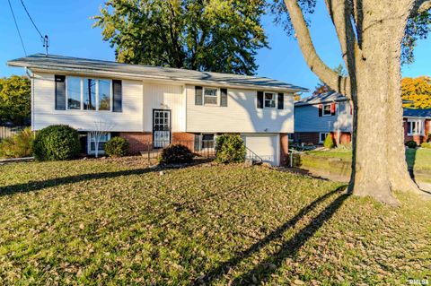 Homes For Sale - 313 W South Street<br/> Tazewell County, Tremont, IL 61568