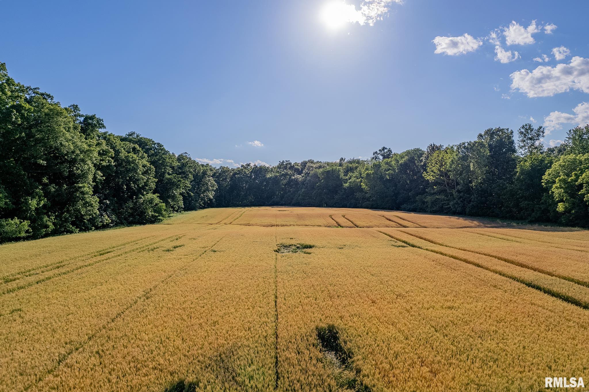 000 1325 N County Road, Cisne, Illinois image 11