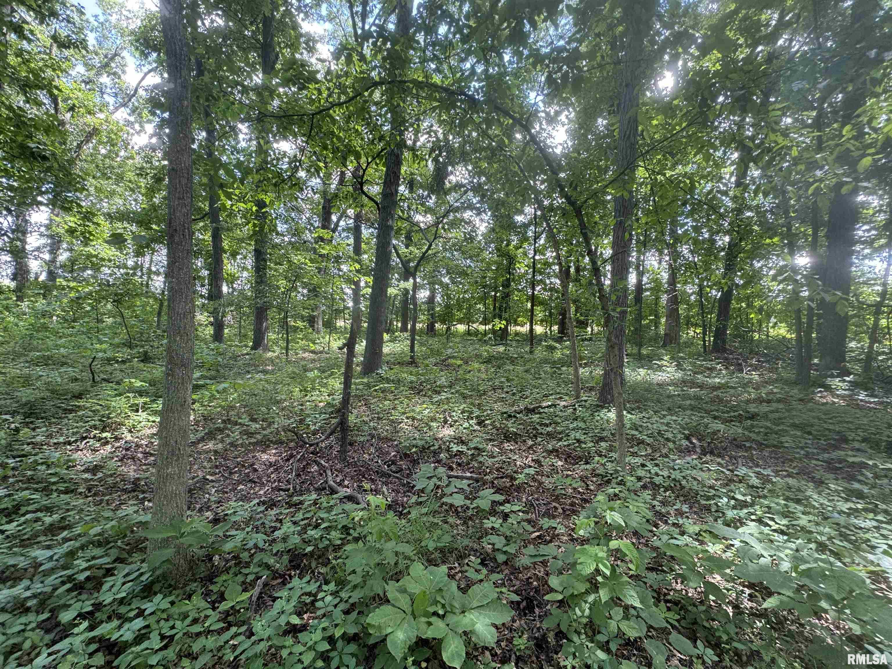 000 1325 N County Road, Cisne, Illinois image 28