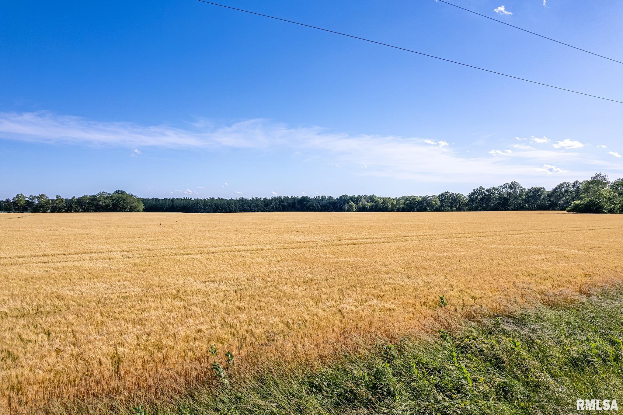 000 1325 N County Road, Cisne, Illinois image 13