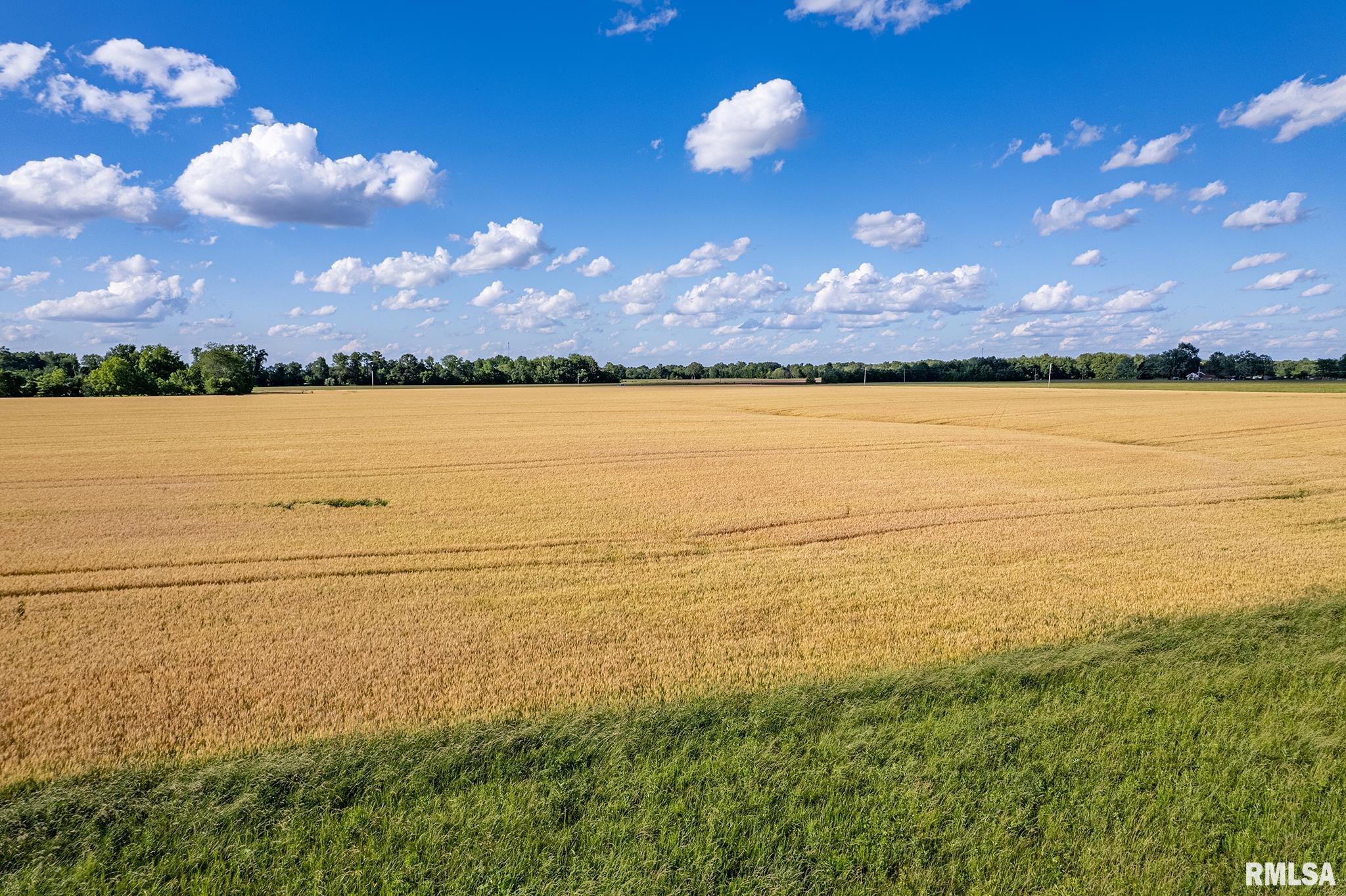 000 1325 N County Road, Cisne, Illinois image 15