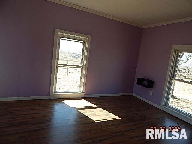 1250 233rd Street, Wheatland, Iowa image 15