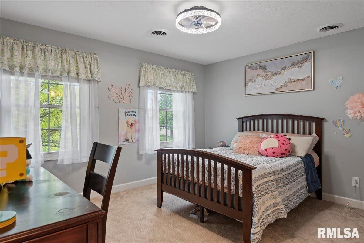 312 Windycrest Drive, Chatham, Illinois image 44