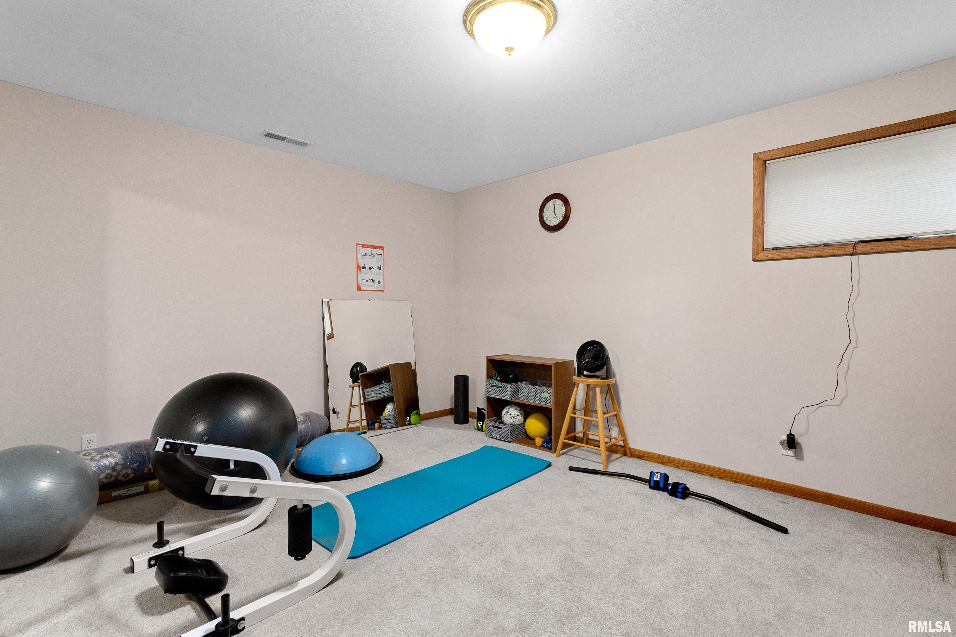 20806 N Sequoia Curve, Chillicothe, Illinois image 34