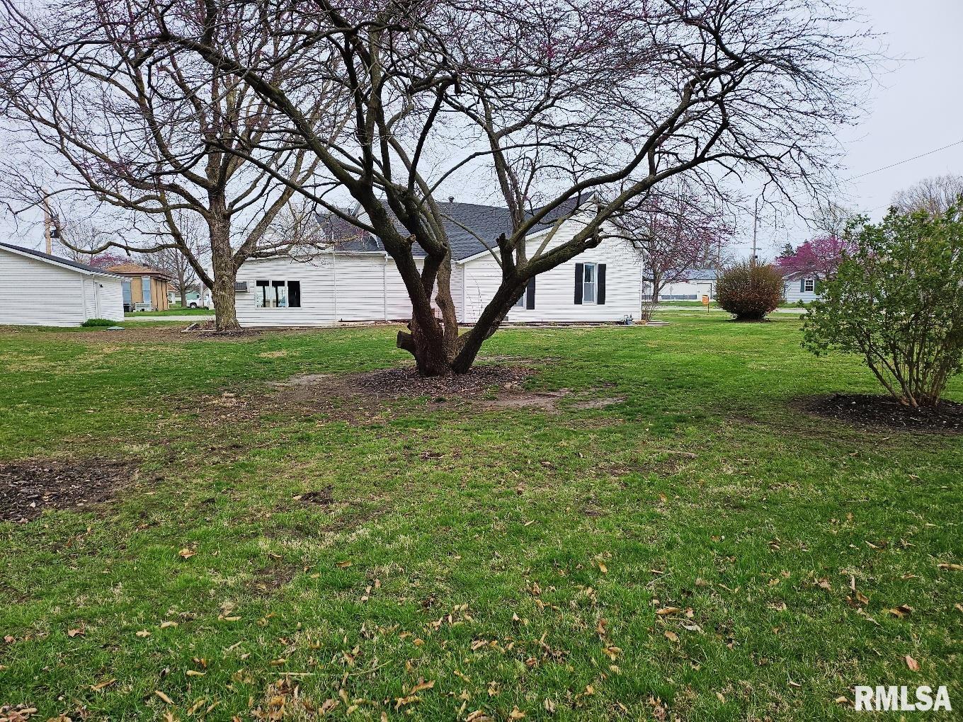 102 W Grand Street, Modesto, Illinois image 10