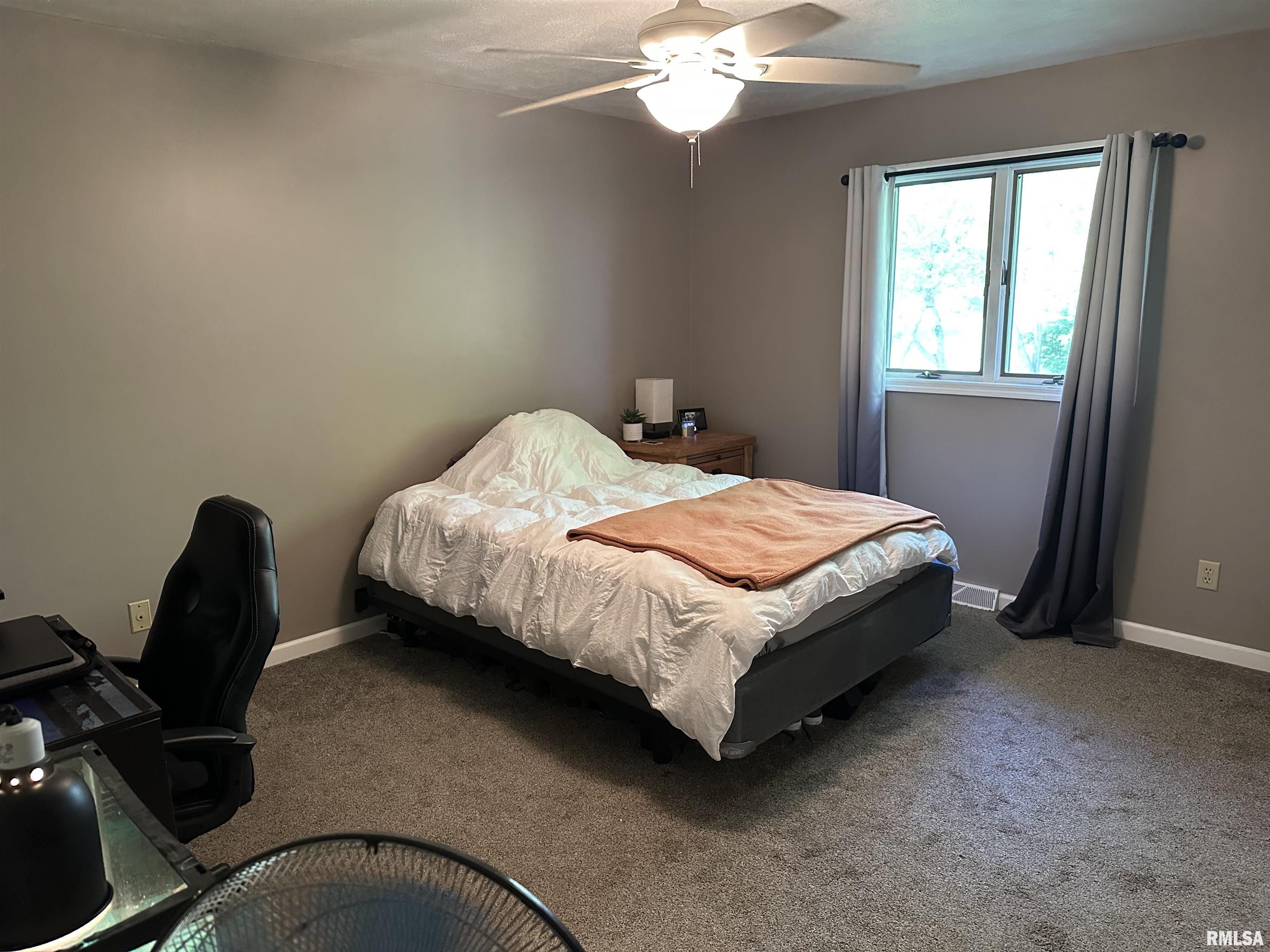 108 N Ostrom Avenue, Princeville, Illinois image 15
