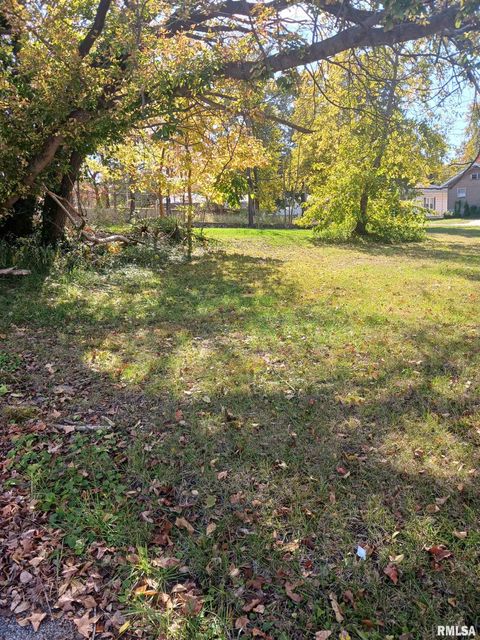 Vacant Land For Sale - 1420 Poplar Street<br/> Murphysboro, IL 62966
