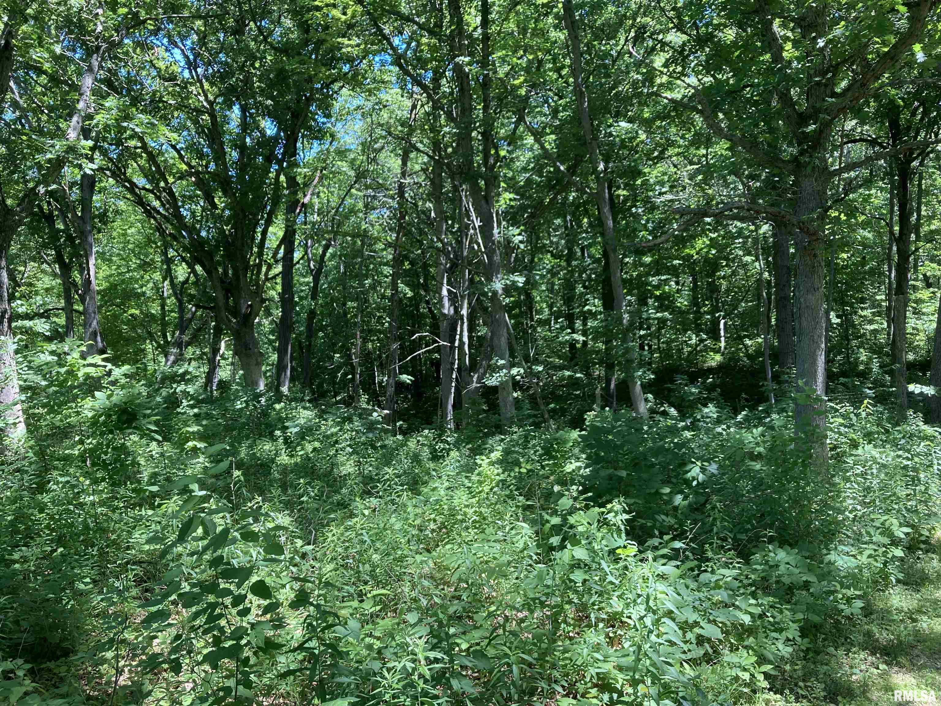 000 W Singing Woods Road, Edelstein, Illinois image 20