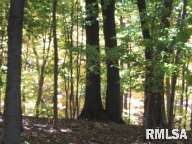 000 W Singing Woods Road, Edelstein, Illinois image 22