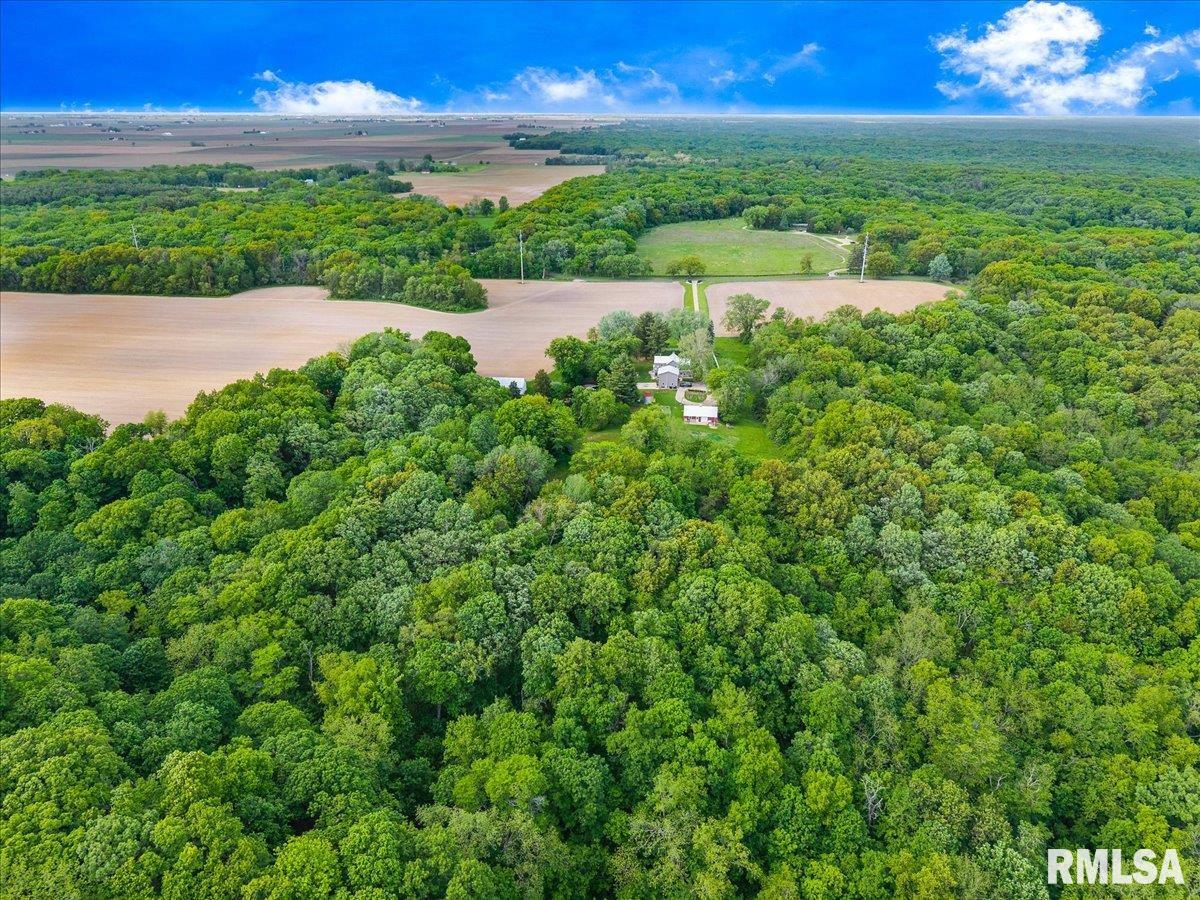 000 W Singing Woods Road, Edelstein, Illinois image 9