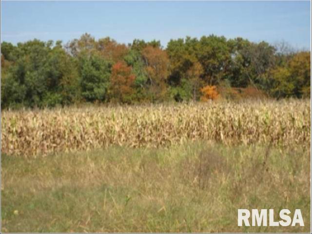 000 W Singing Woods Road, Edelstein, Illinois image 25