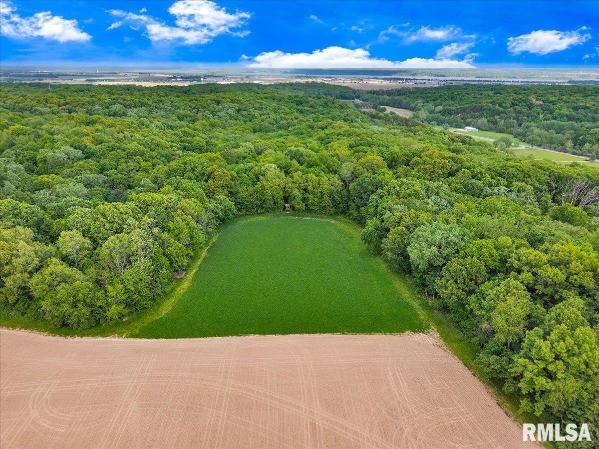 000 W Singing Woods Road, Edelstein, Illinois image 12