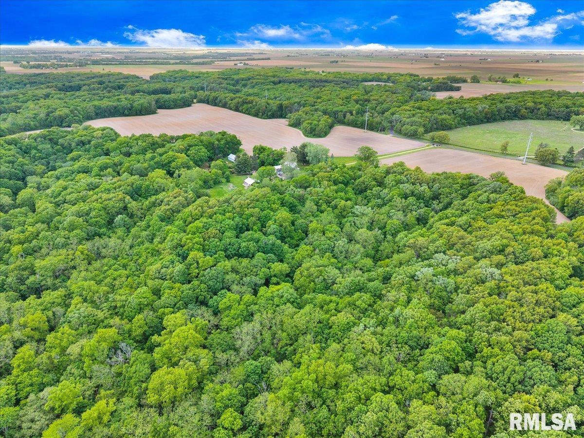 000 W Singing Woods Road, Edelstein, Illinois image 11