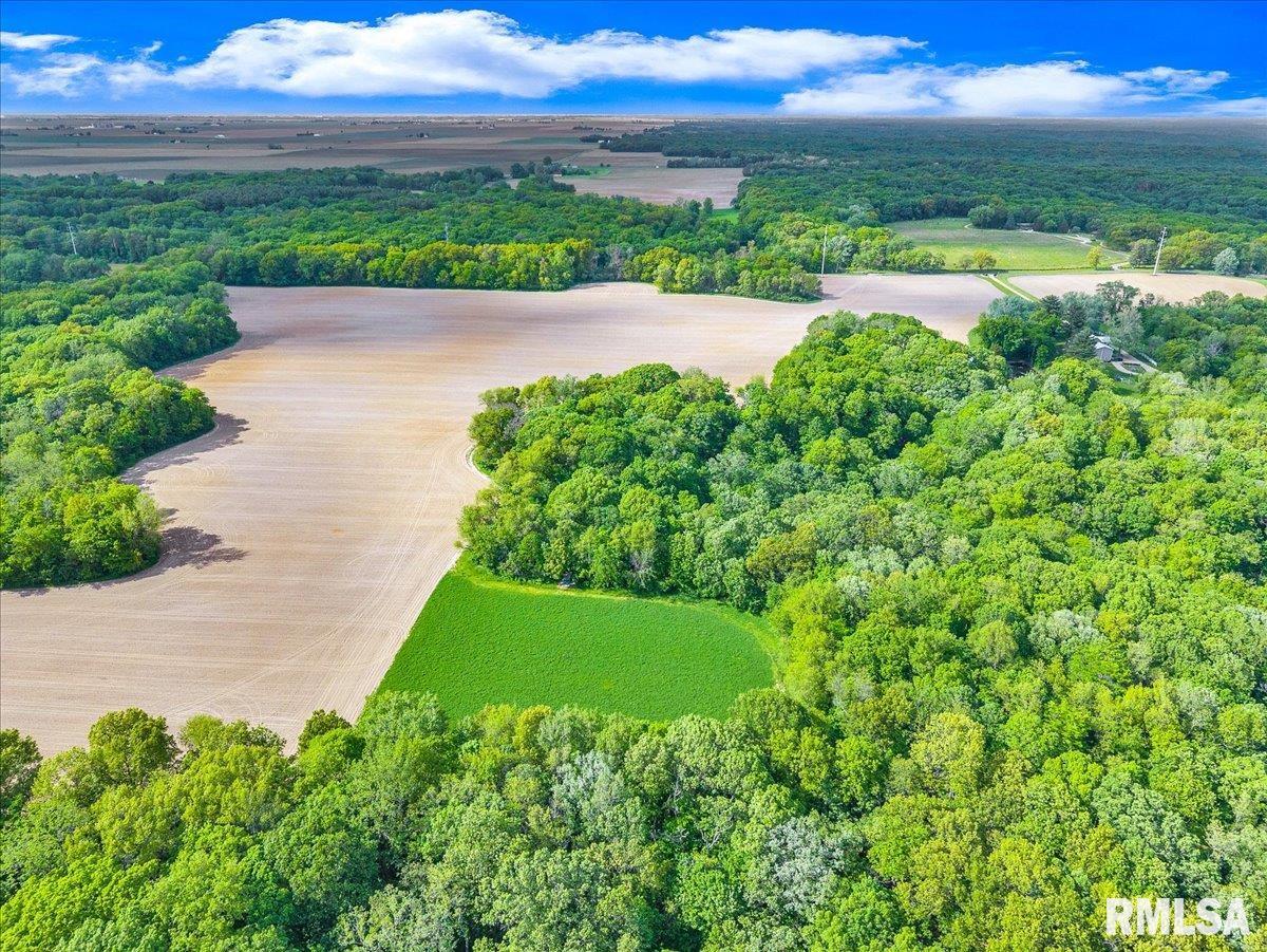 000 W Singing Woods Road, Edelstein, Illinois image 8