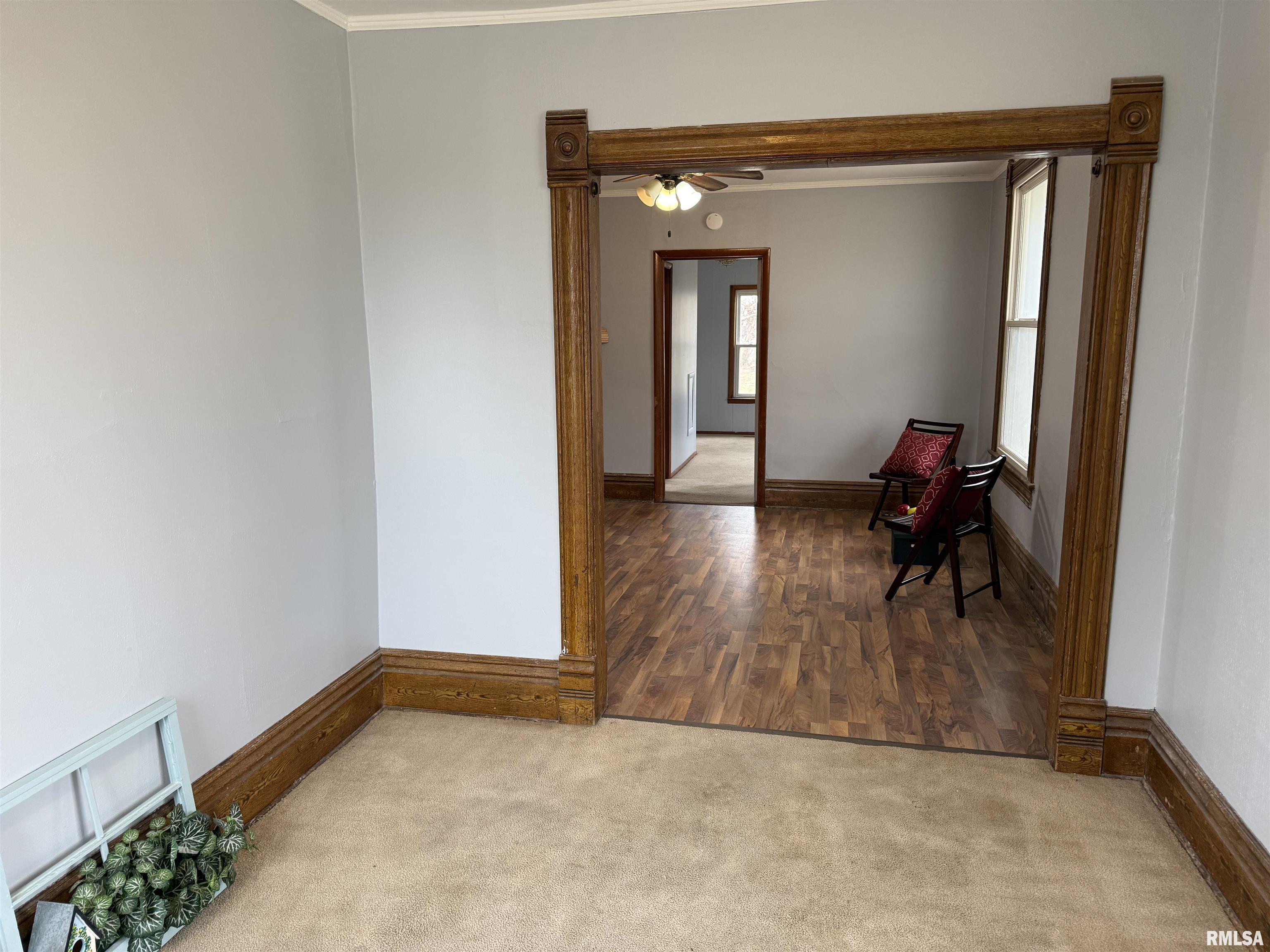 312 E Gale Street, Williamsfield, Illinois image 47