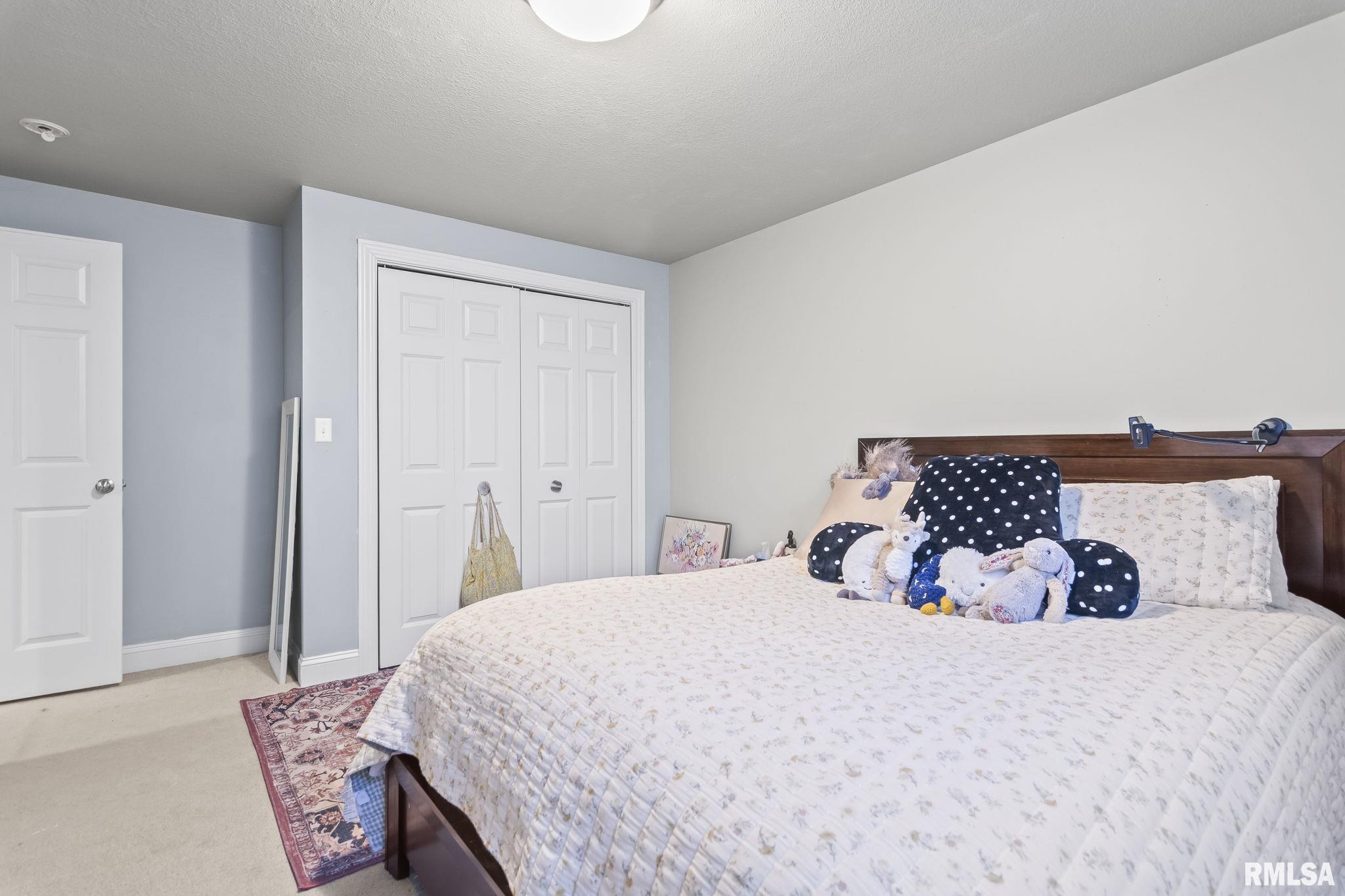355 Partridge Pass, Sherman, Illinois image 34