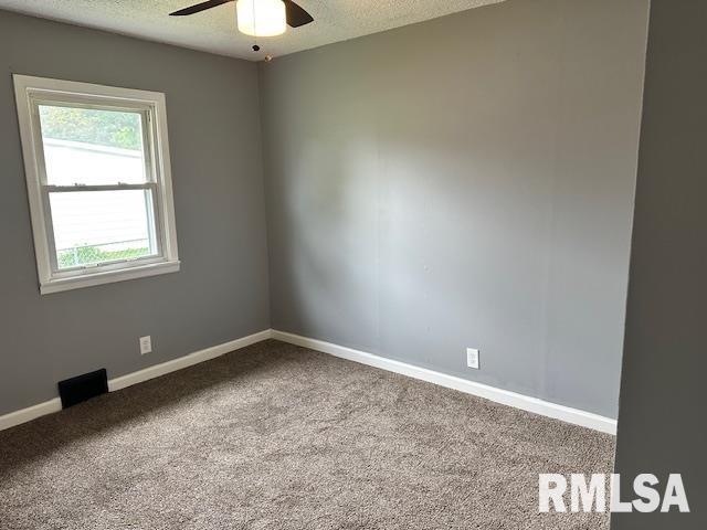 208 Locust Street, Jacksonville, Illinois image 12