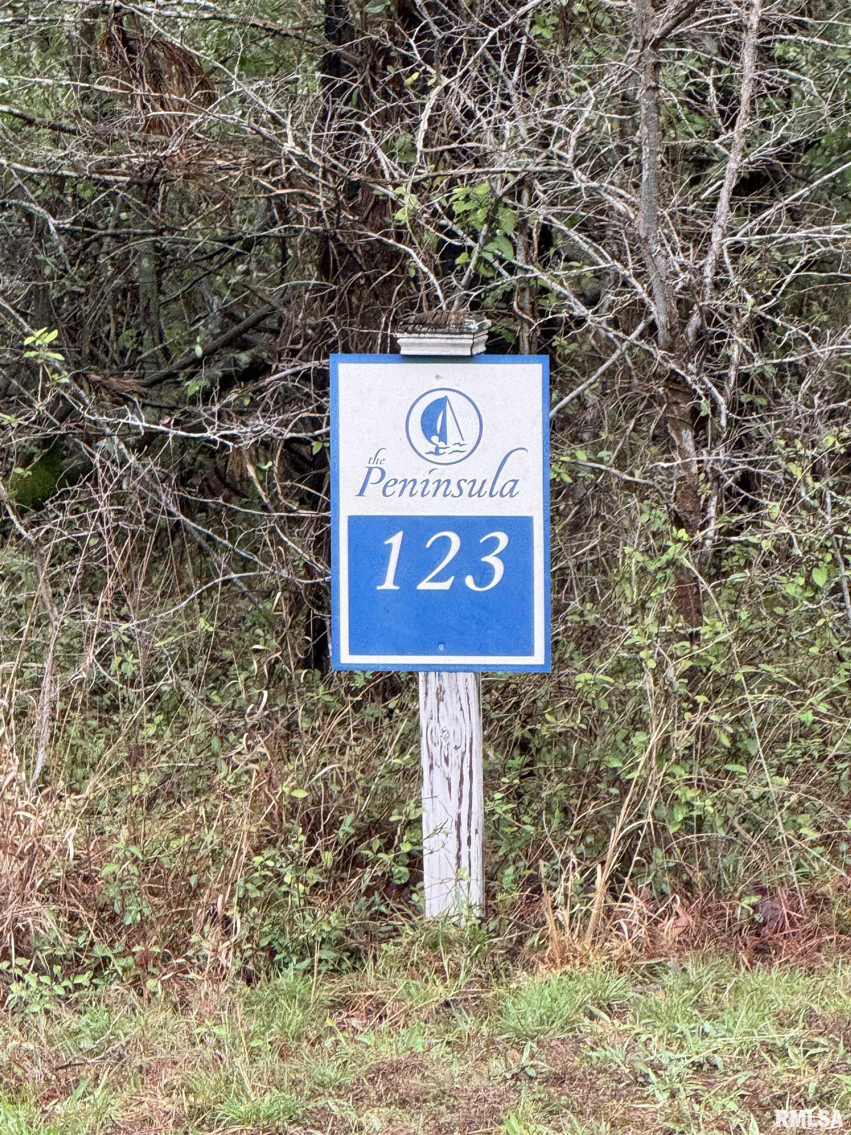 LOT 122&123 Deer Lane, Goreville, Illinois image 4