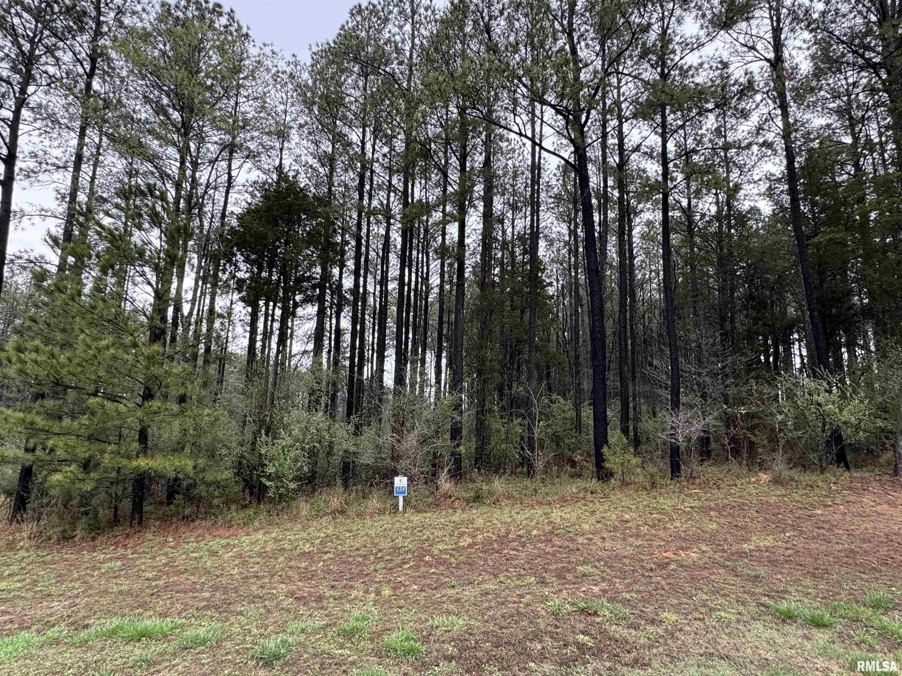 LOT 122&123 Deer Lane, Goreville, Illinois image 1