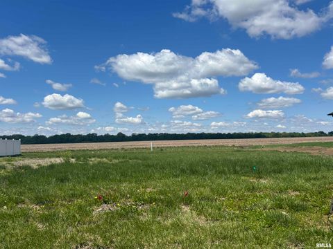 Vacant Land For Sale - 729 Nine Rock Road<br/> Sherman, IL 62684