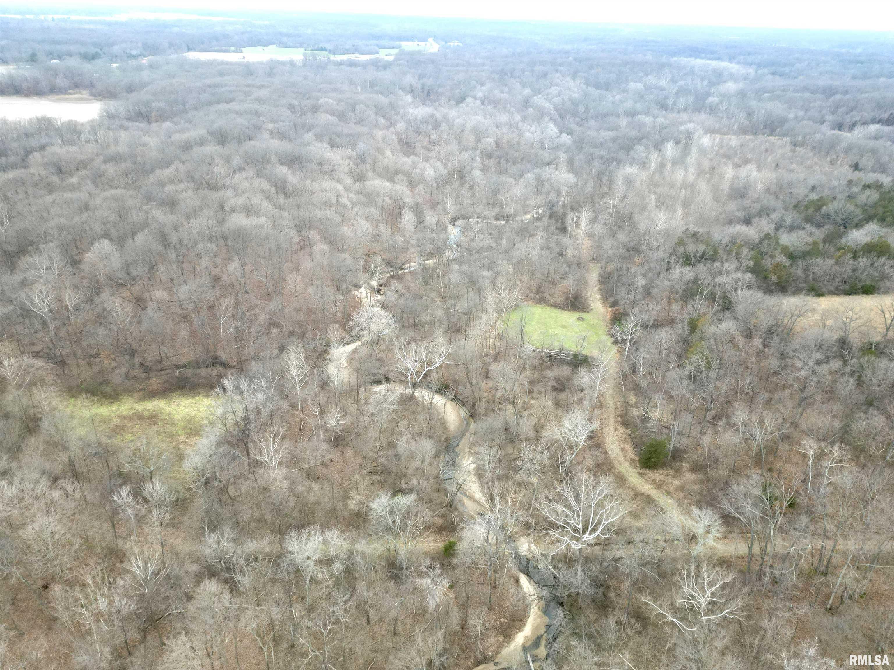 000 County Road 1900 E Road, Brownstown, Illinois image 3