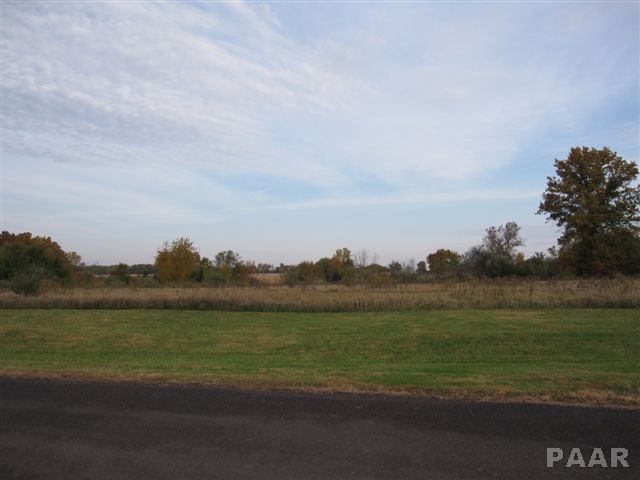 Lot 23 Grace Lane, Edwards, Illinois image 2