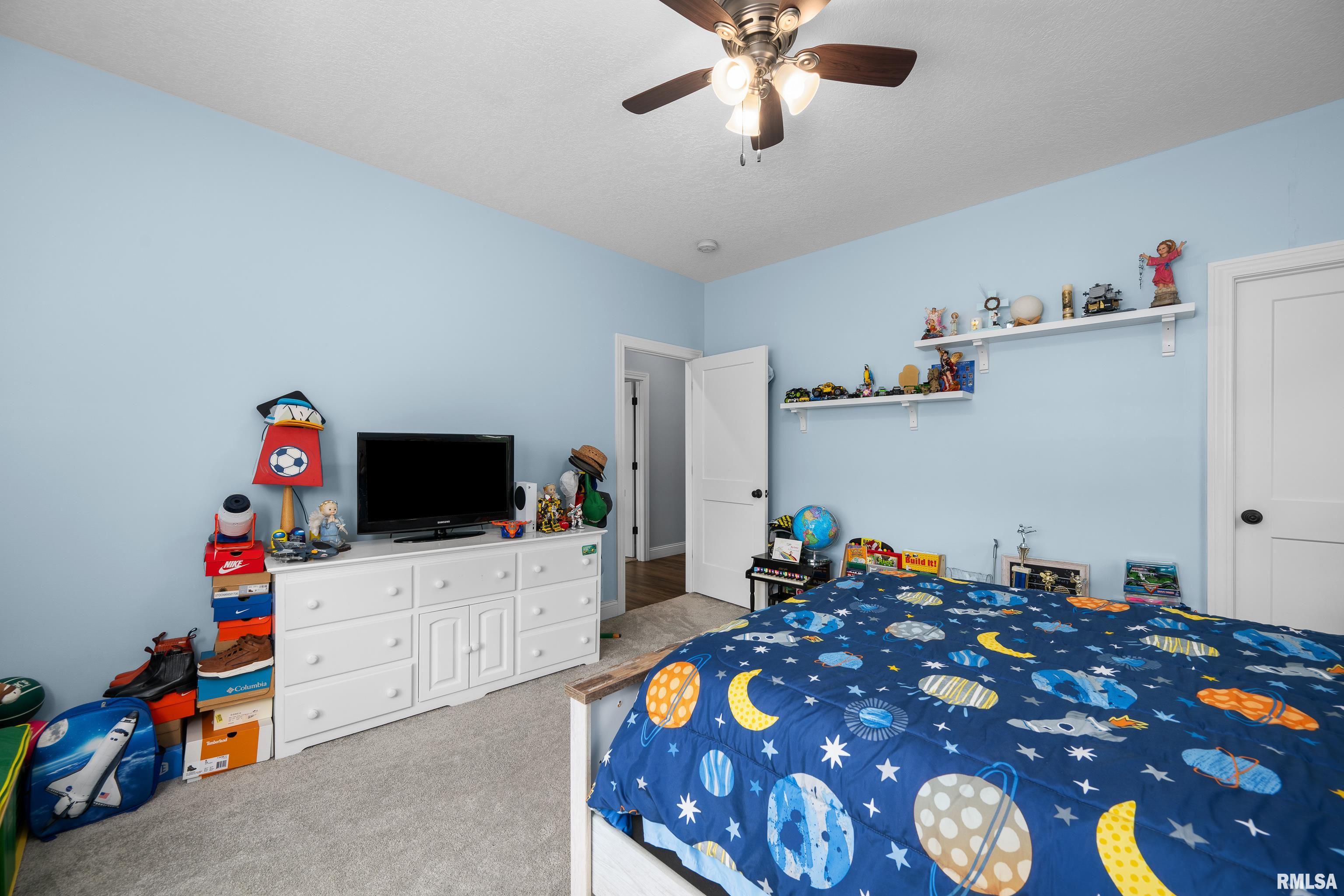 10027 115th Street West, Andalusia, Illinois image 35