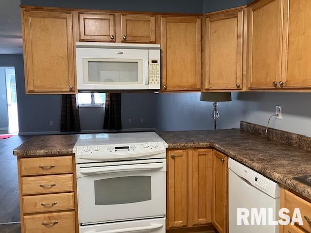 114 S Sangamon Street, Auburn, Illinois image 16