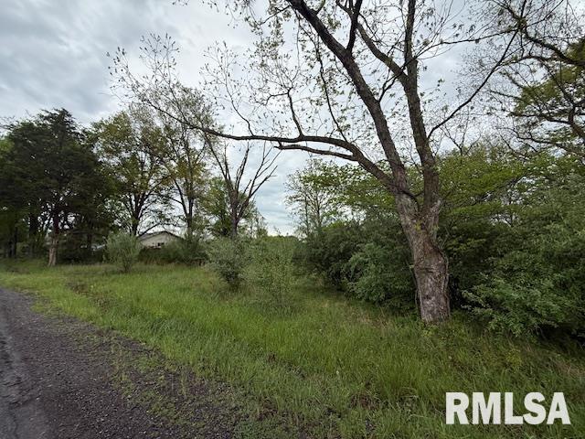 TBD Country Club Road, Marion, Illinois image 1