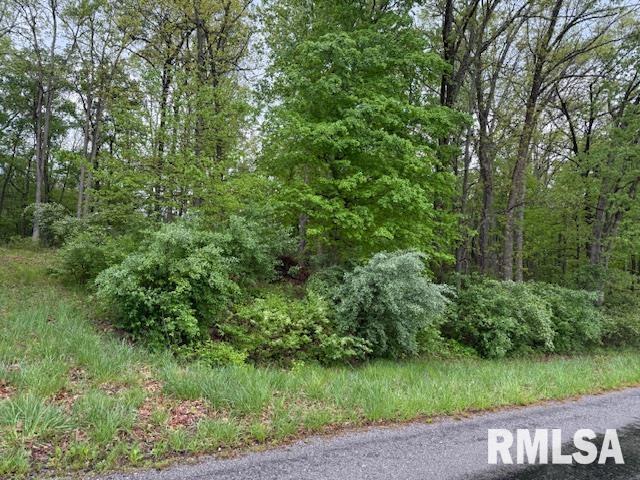 TBD Country Club Road, Marion, Illinois image 2