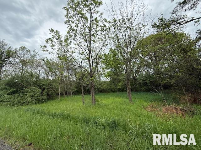 TBD Country Club Road, Marion, Illinois image 8