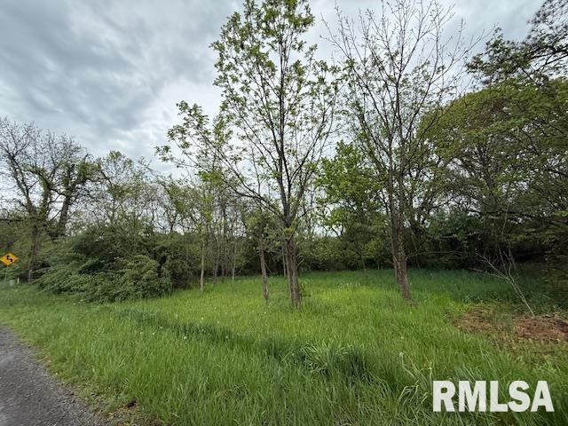 TBD Country Club Road, Marion, Illinois image 7