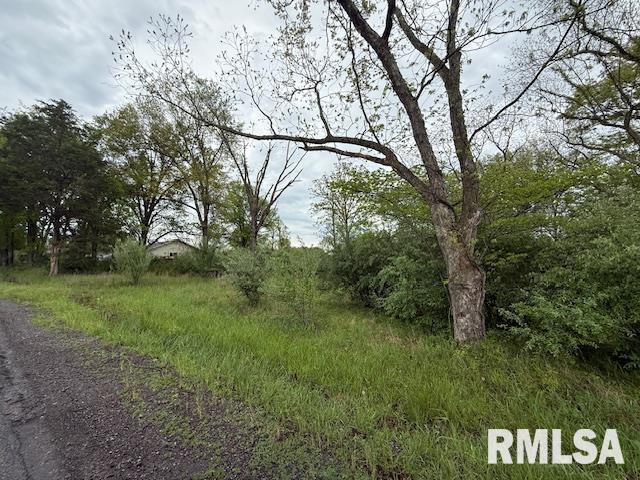 TBD Country Club Road, Marion, Illinois image 4