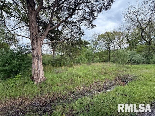 TBD Country Club Road, Marion, Illinois image 5