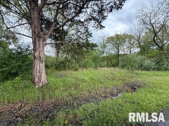 TBD Country Club Road, Marion, Illinois image 6