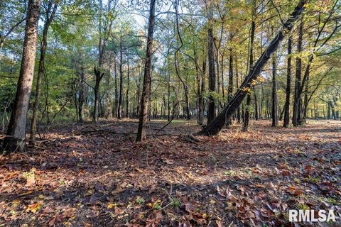 Vacant Land For Sale - 0000 Baptist Camp Road<br/> Carterville, IL 62918