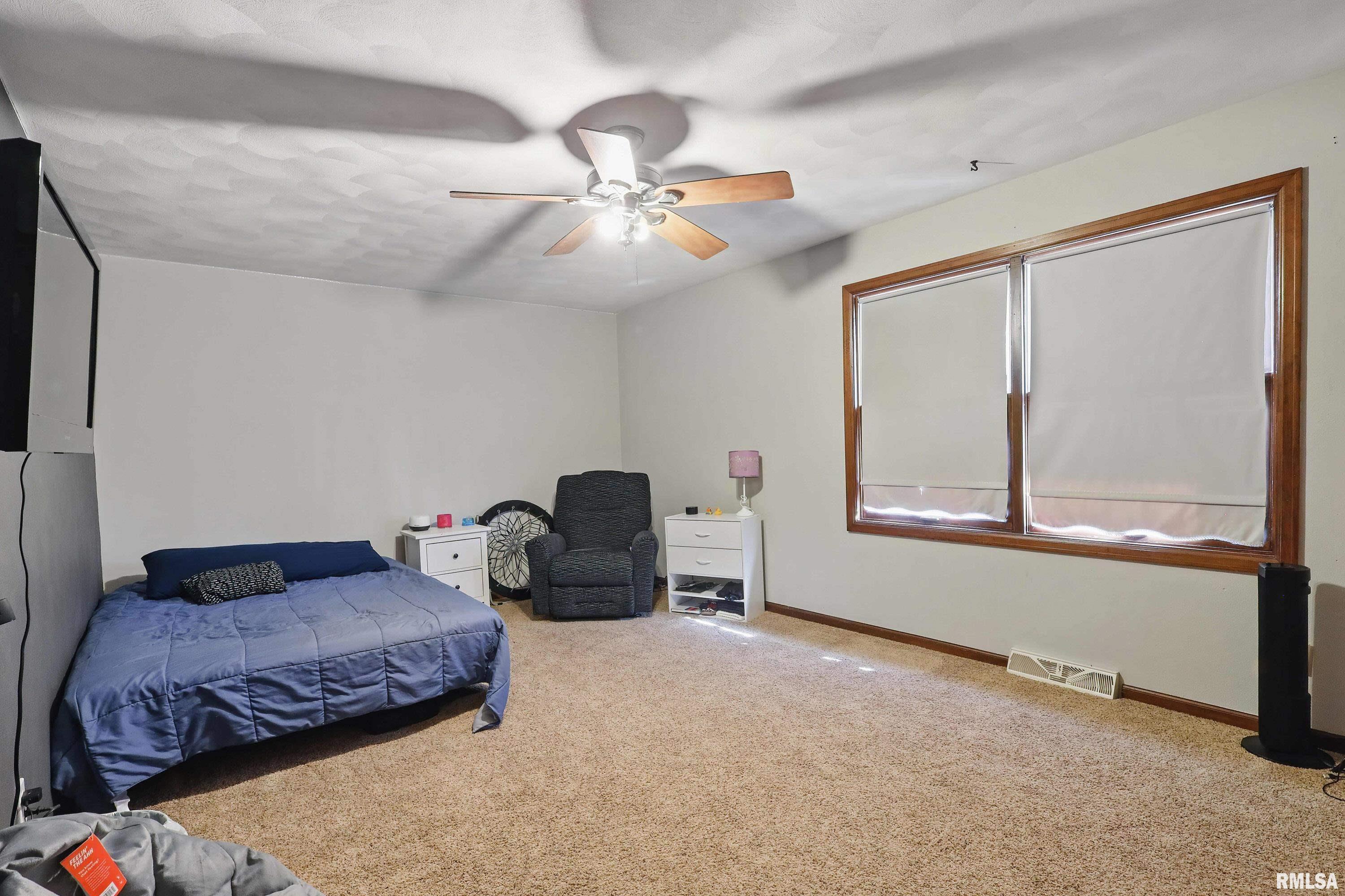 8 Timberlane Drive, Geneseo, Illinois image 22