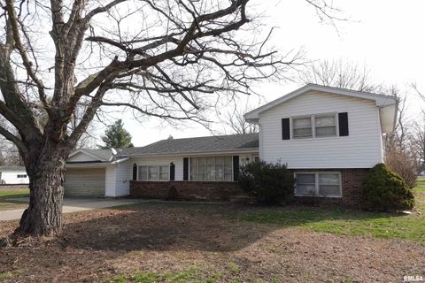 Homes For Sale - 895 Pine Street<br/> Knox County, Galesburg, IL 61401