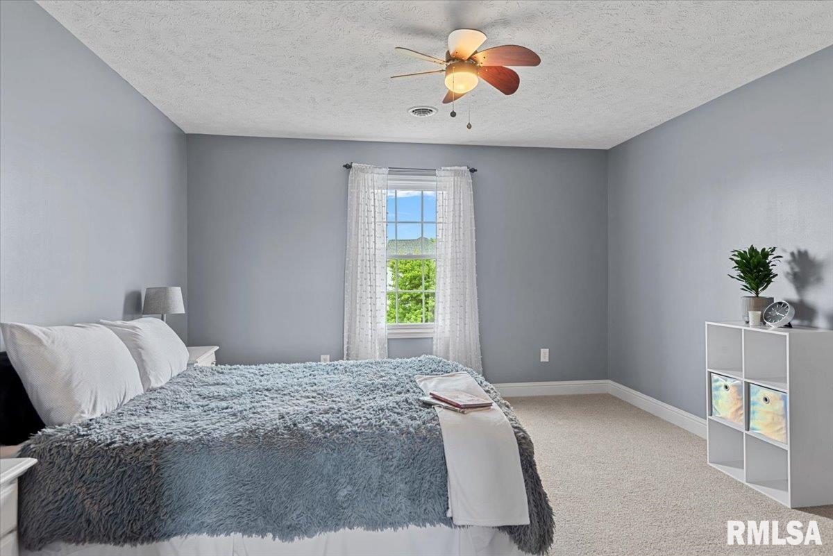 921 Deerfield Road, Chatham, Illinois image 35