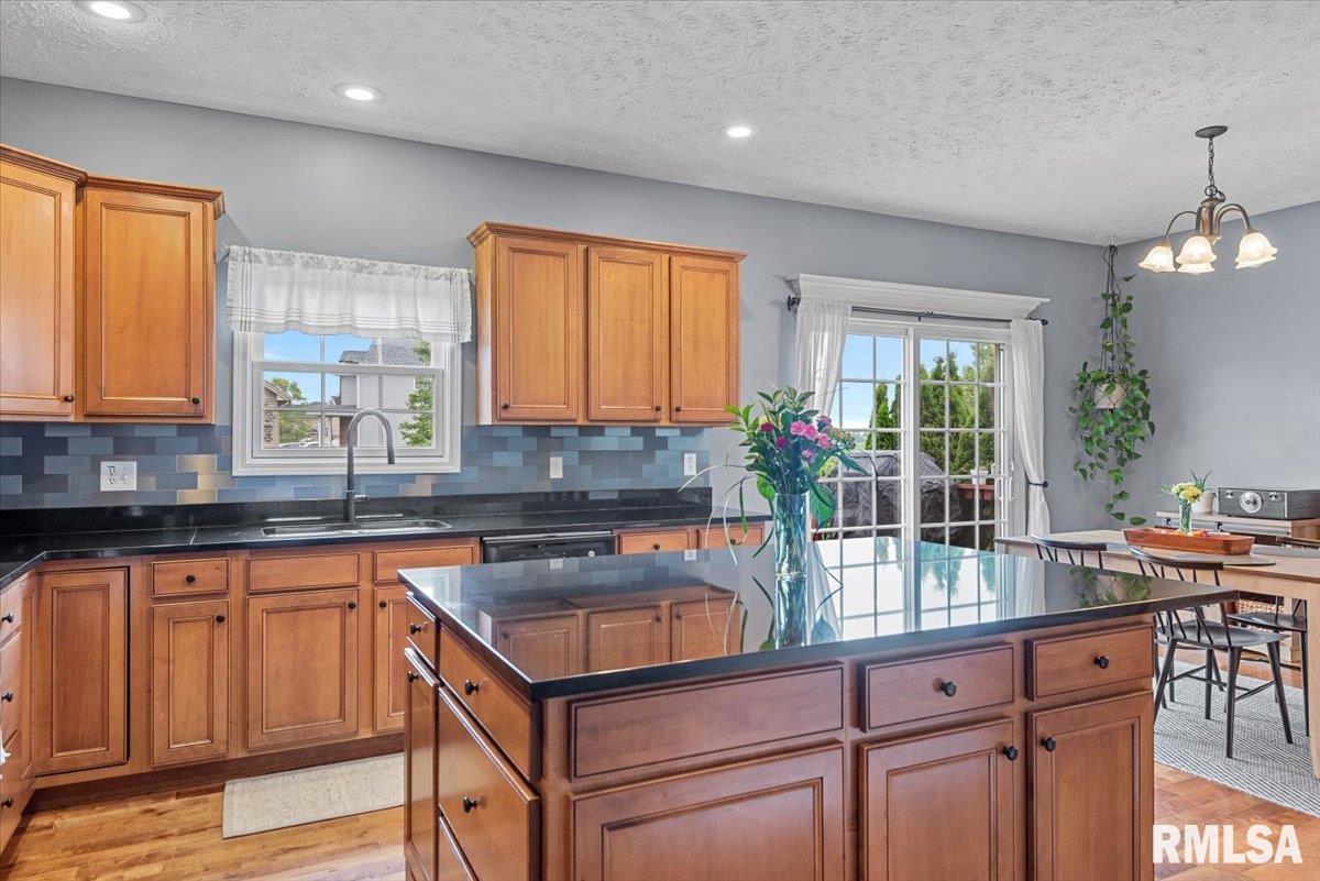 921 Deerfield Road, Chatham, Illinois image 22