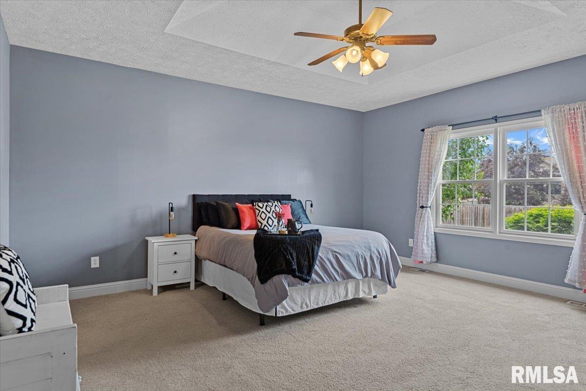 921 Deerfield Road, Chatham, Illinois image 25