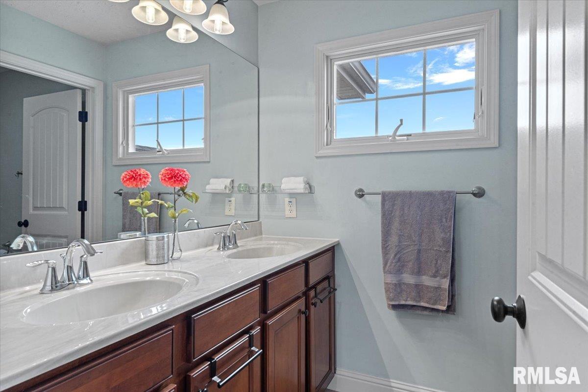 921 Deerfield Road, Chatham, Illinois image 41