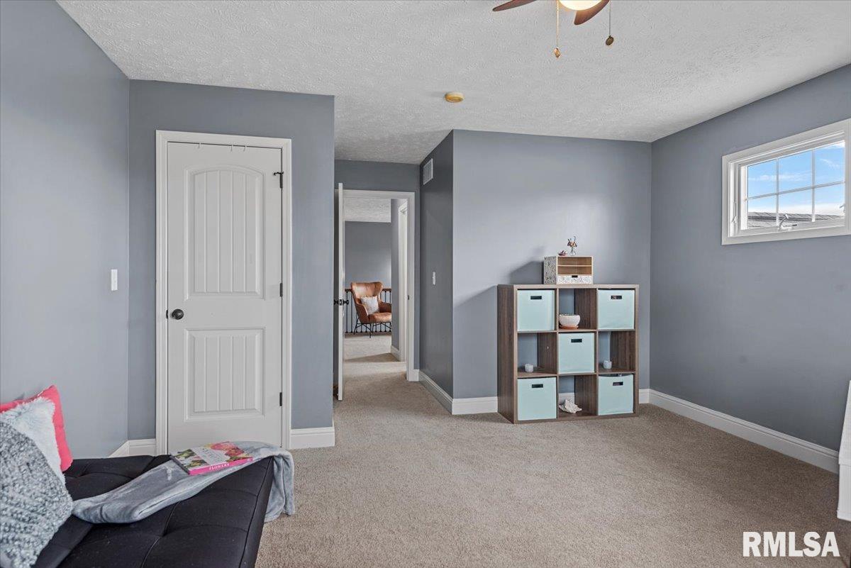 921 Deerfield Road, Chatham, Illinois image 40