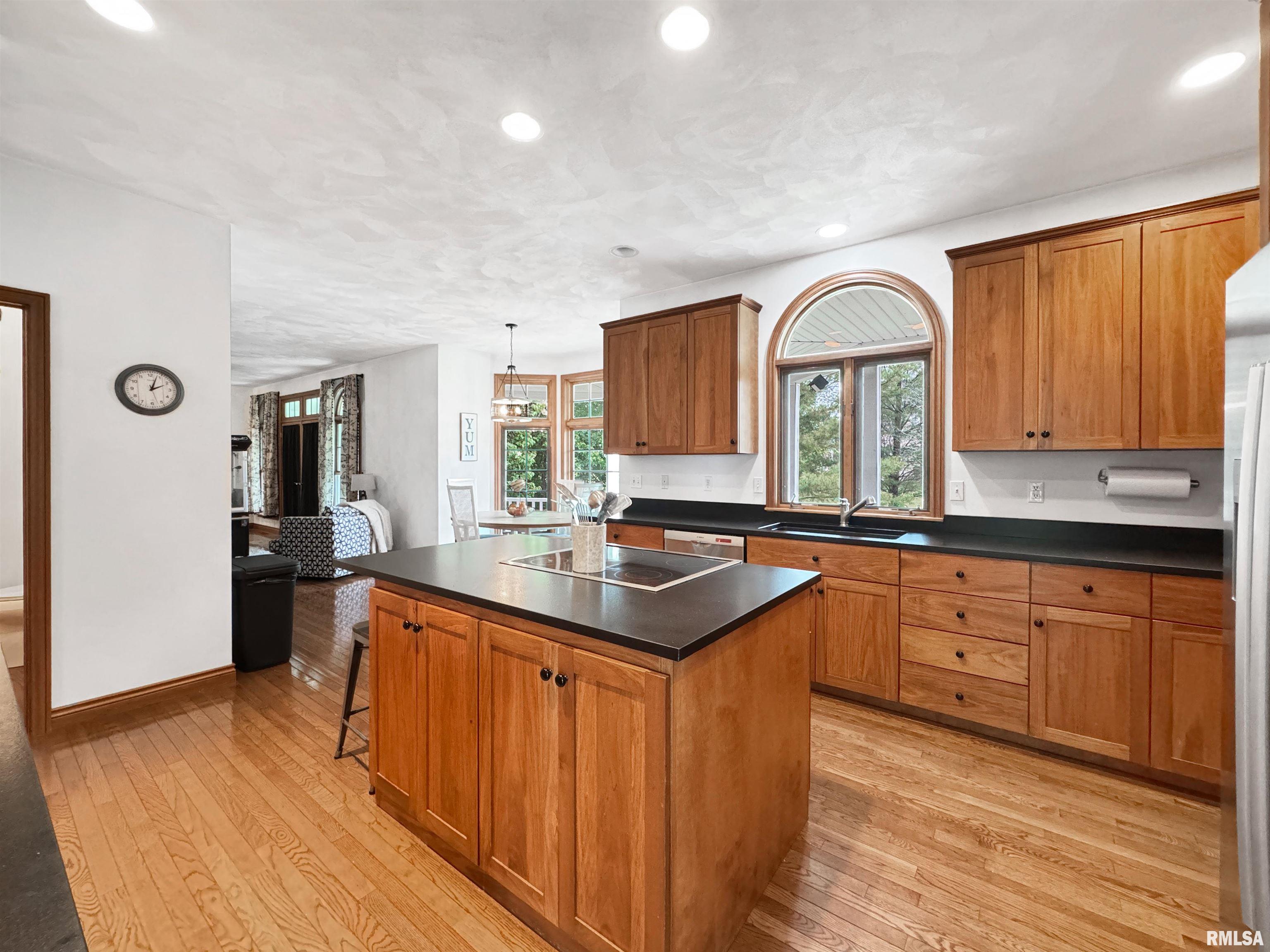 206 Windsor Drive, Germantown Hills, Illinois image 9
