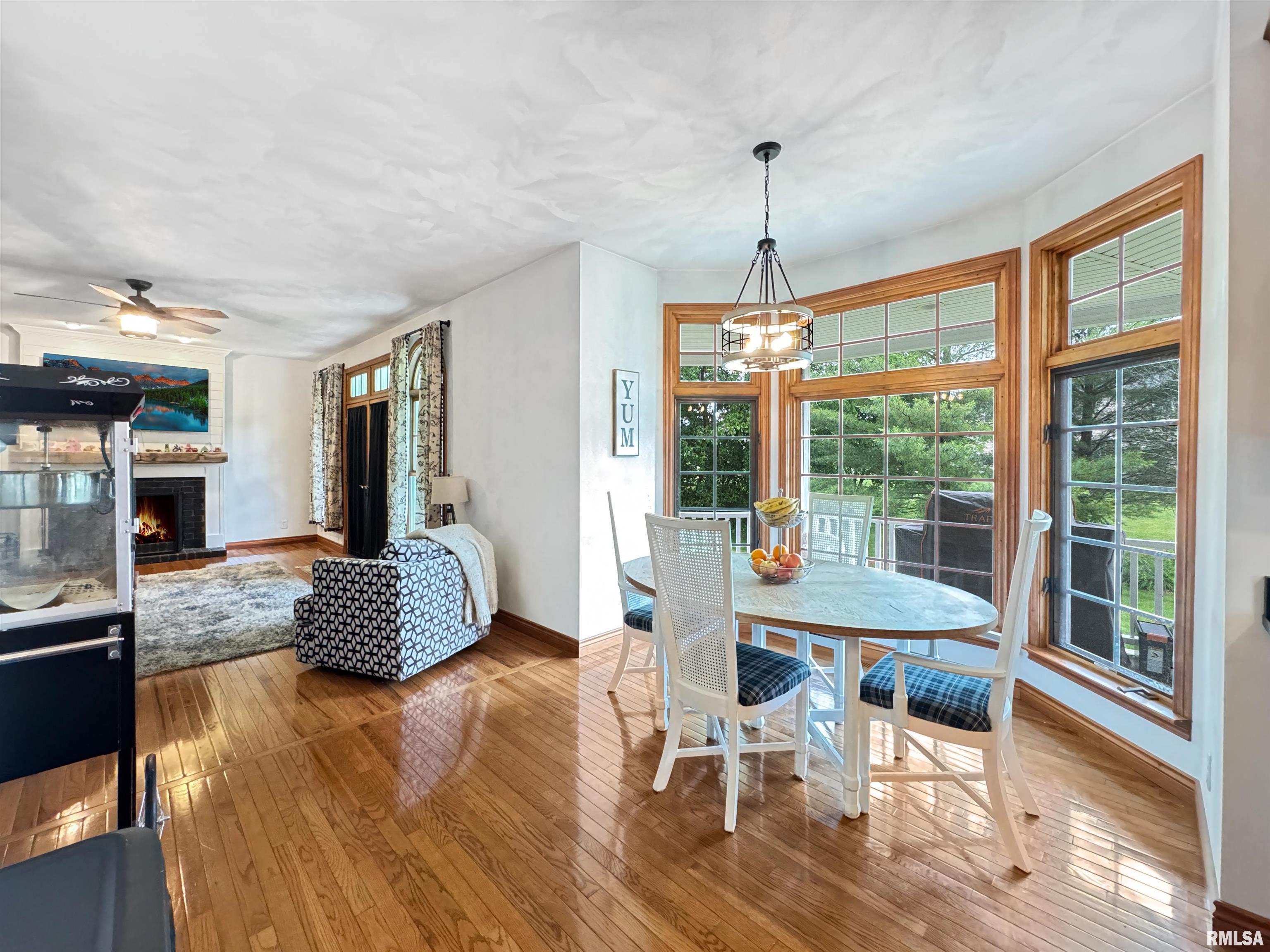 206 Windsor Drive, Germantown Hills, Illinois image 15