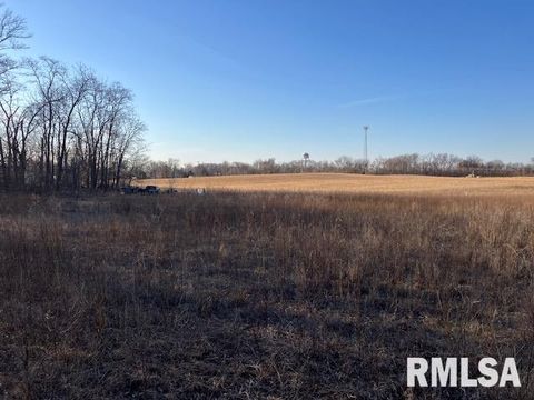 Vacant Land For Sale - 1501 Butternut Street<br/> Henderson County, Keithsburg, IL 61081